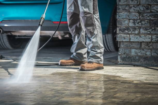 Best Soft Washing  in Reedspt, OR